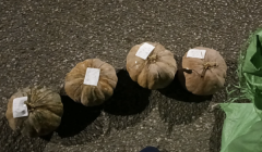 农家老南瓜，自产自销，软糯香甜